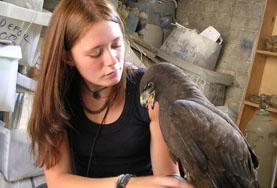Volunteer on a Veterinary Medicine & Animal Care placement Veterinary Medicine & Animal Care projects